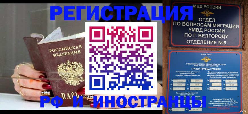 прописка в Курчатове